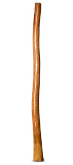 Gloss Finish Didgeridoo (TW850)